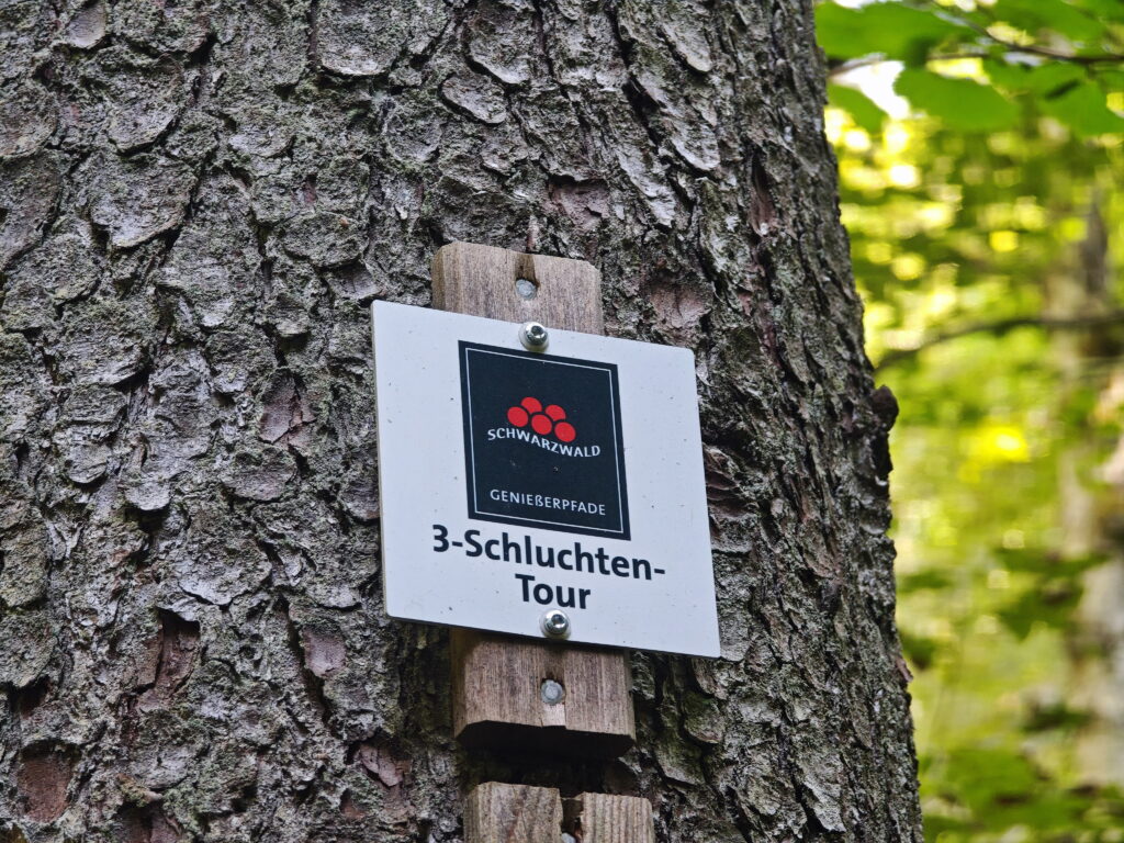 3-Schluchten-Tour Schwarzwald