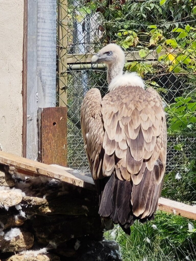 Bayerwald Tierpark Lohberg - der größte Zoo im Bayerischen Wald