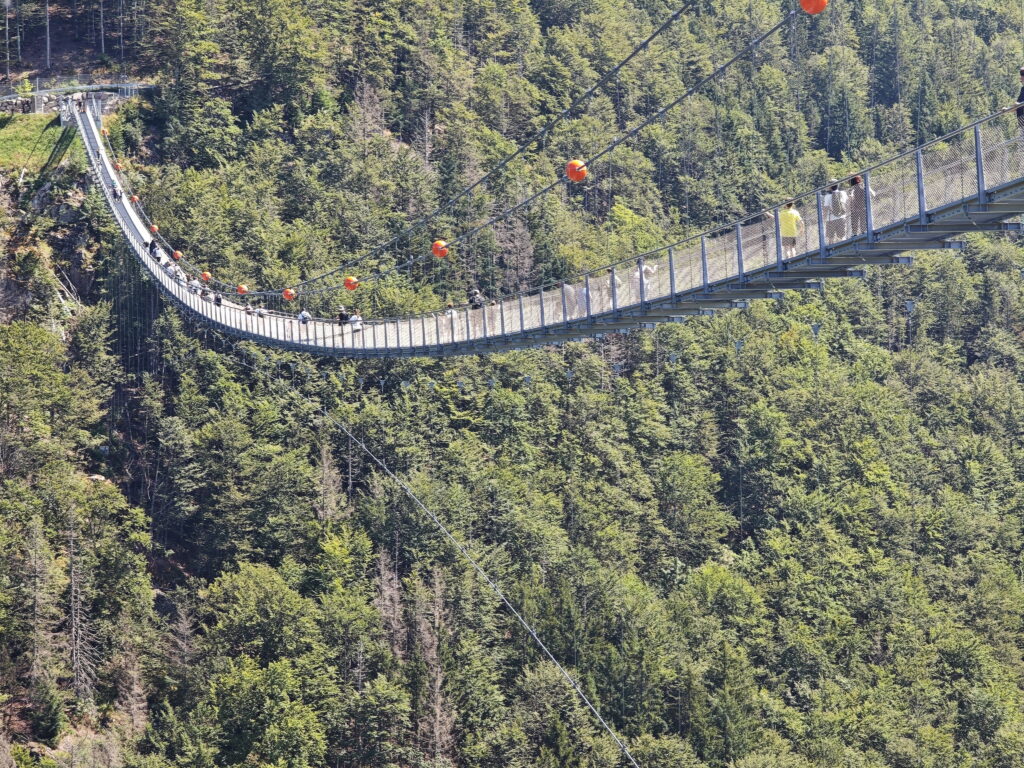 Blackforestline Hängebrücke - cooles Abenteuer für Klein und Groß, atemberaubender Blick auf den Wasserfall