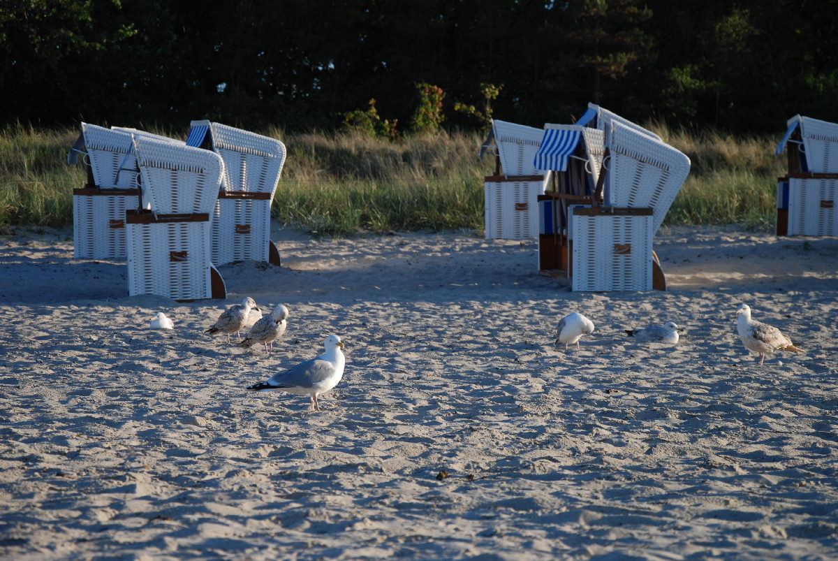 FAMILIENURLAUB BOLTENHAGEN Mit Kindern Am Ostsee Strand ️