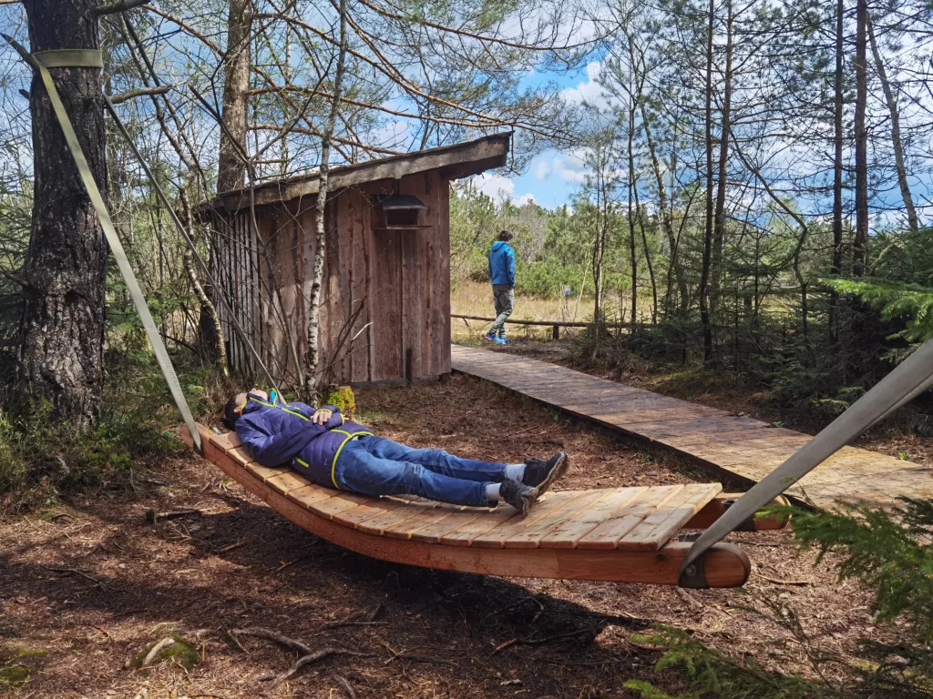 Durch das Moor am Chiemsee wandern mit Kindern - samt Hängematte