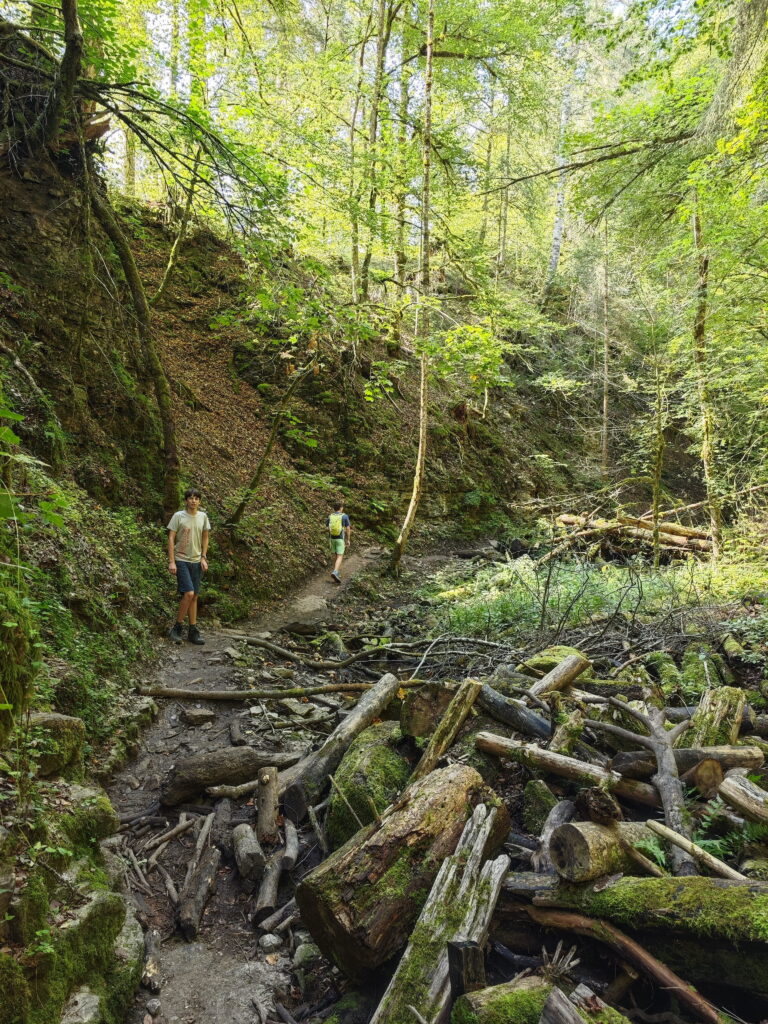 3-Schluchten-Tour Schwarzwald