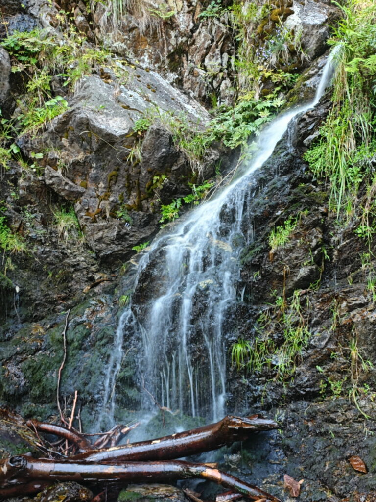 Hochschwarzwald