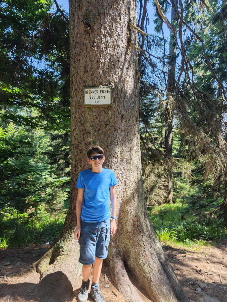 Großer Arber wandern mit Kindern