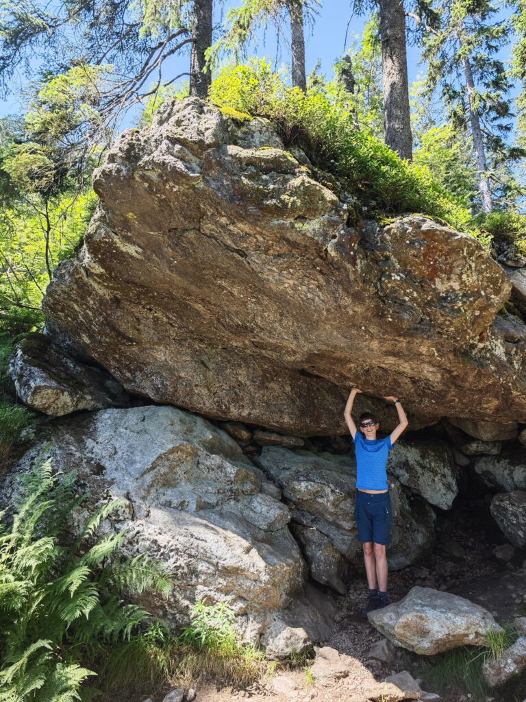 Großer Arber wandern mit Kindern