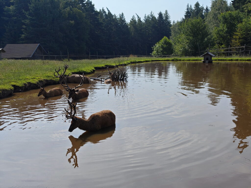 Mittelböhmen