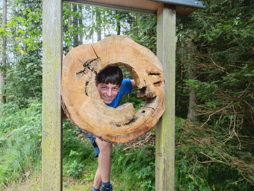 Holzweg Bayerischer Wald mit Kindern