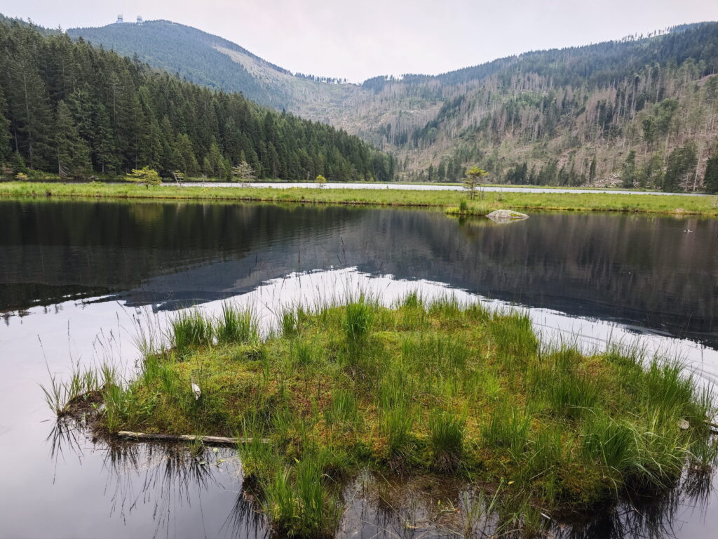 Kleiner Arbersee