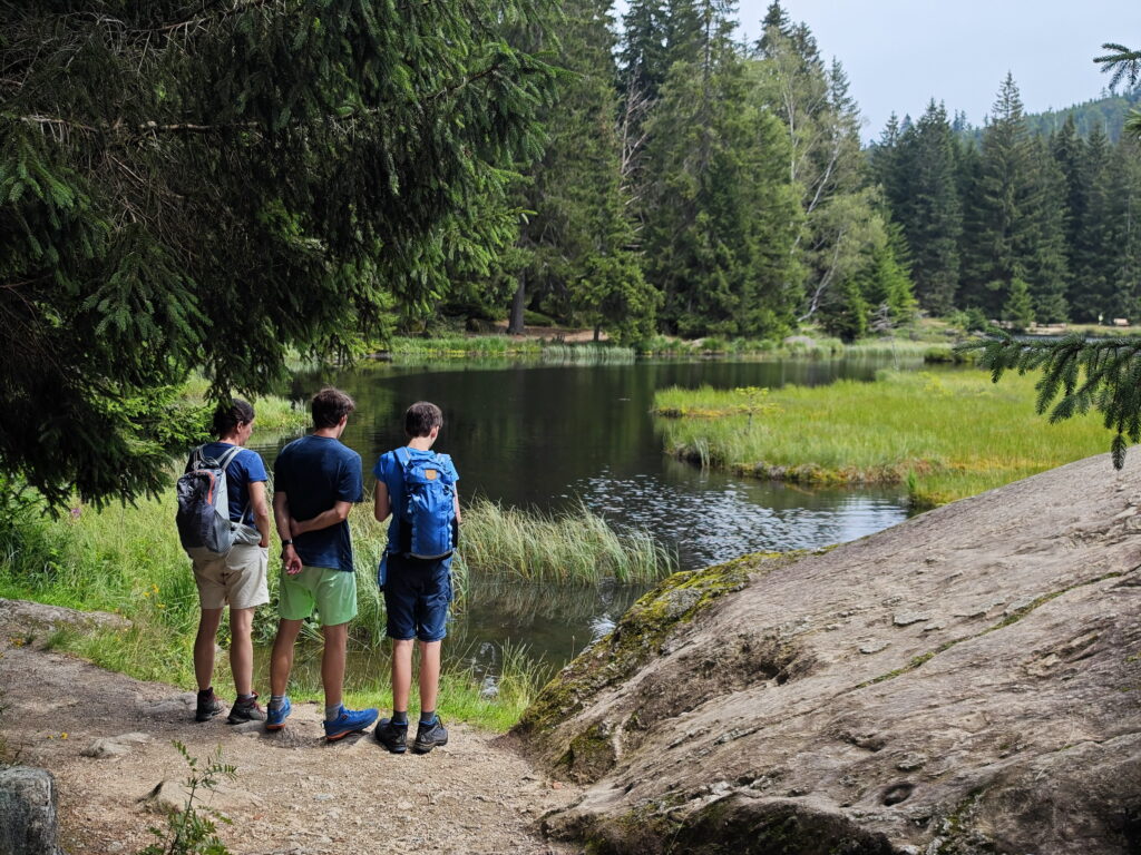 Kleiner Arbersee Bayerischer Wald