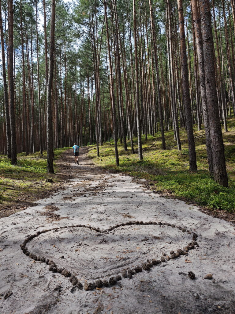 Liberec Wanderung auf sandigen Wegen durch den Wald