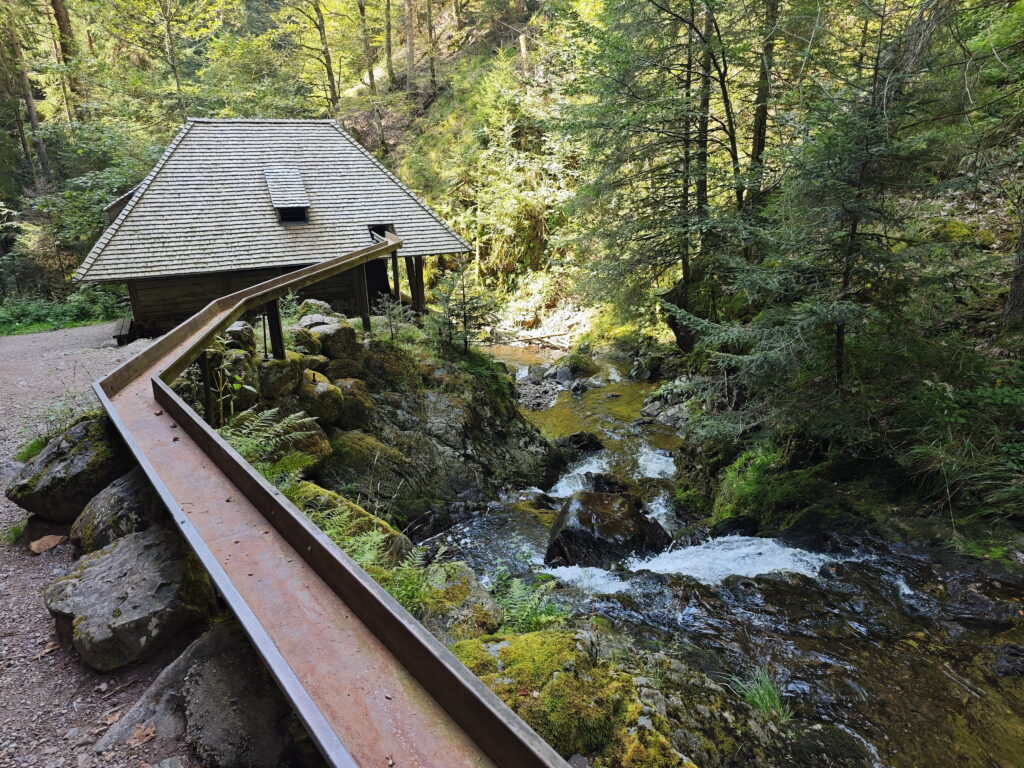 Ravennaschlucht Schwarzwald mit Kindern