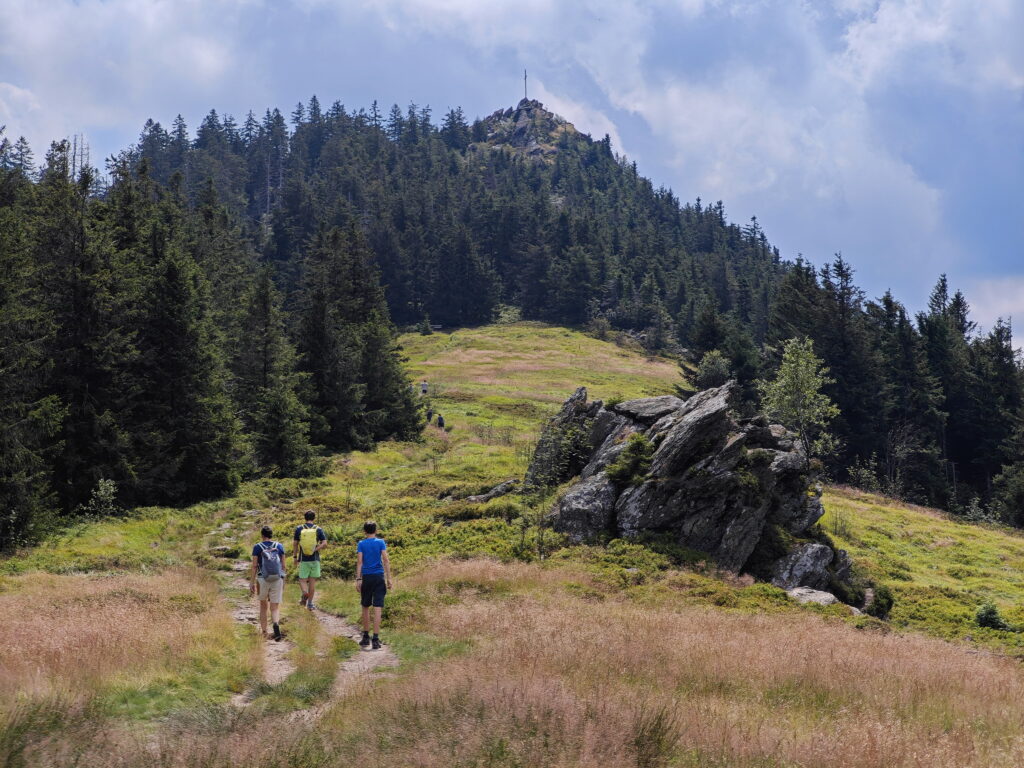 Wirklich toll über die Osserwiese wandern mit Kindern