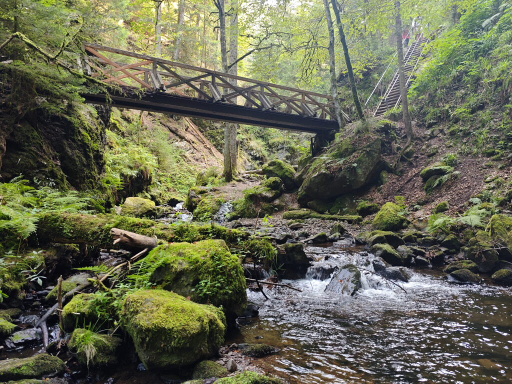 Kurzweilige Wanderung über Stufen und Brücken durch die Ravennaschlucht mit Kindern