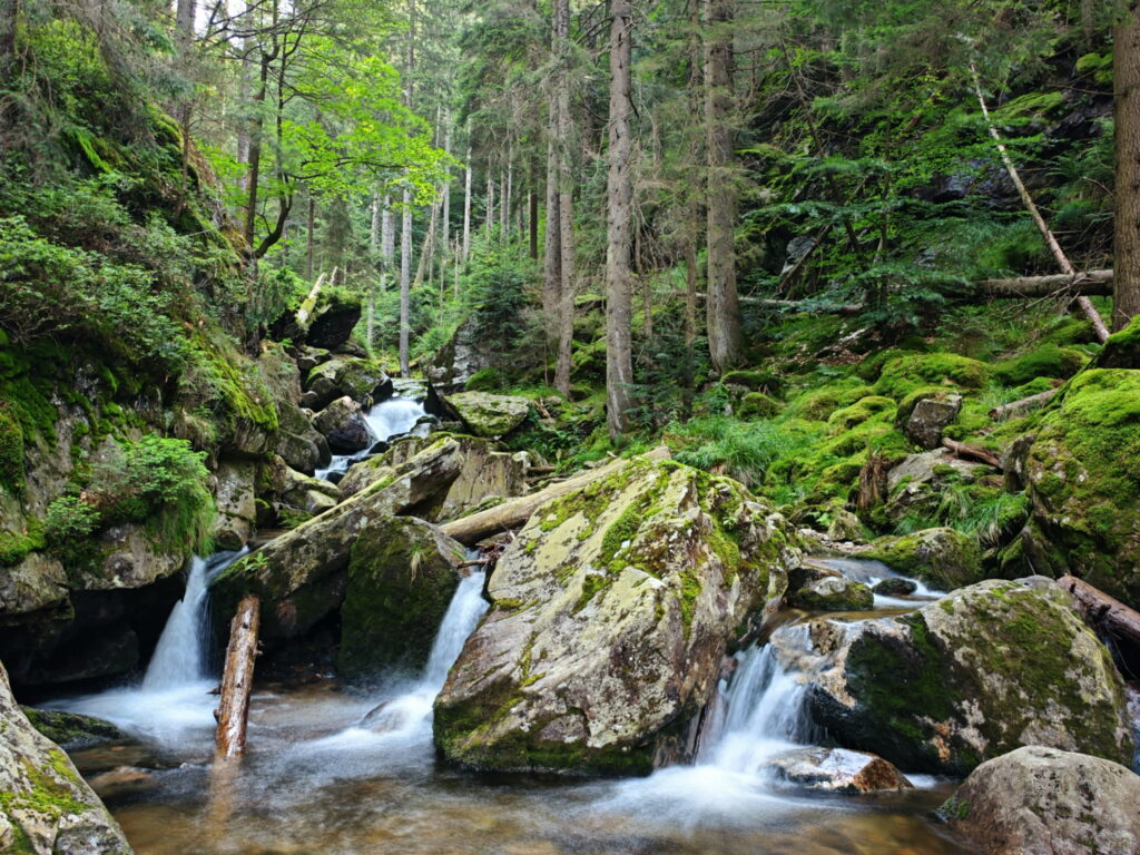 Die Rieslochfälle Wanderung führt direkt an den Wasserfällen entlang