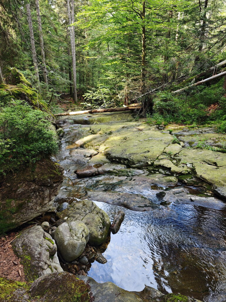 Auf der Rißlochwasserfälle Wanderung kommst du an Gumpen vorbei