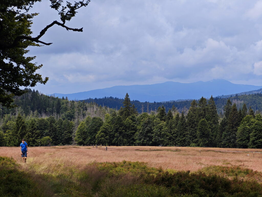 Über den Hochschachten wandern mit Kindern