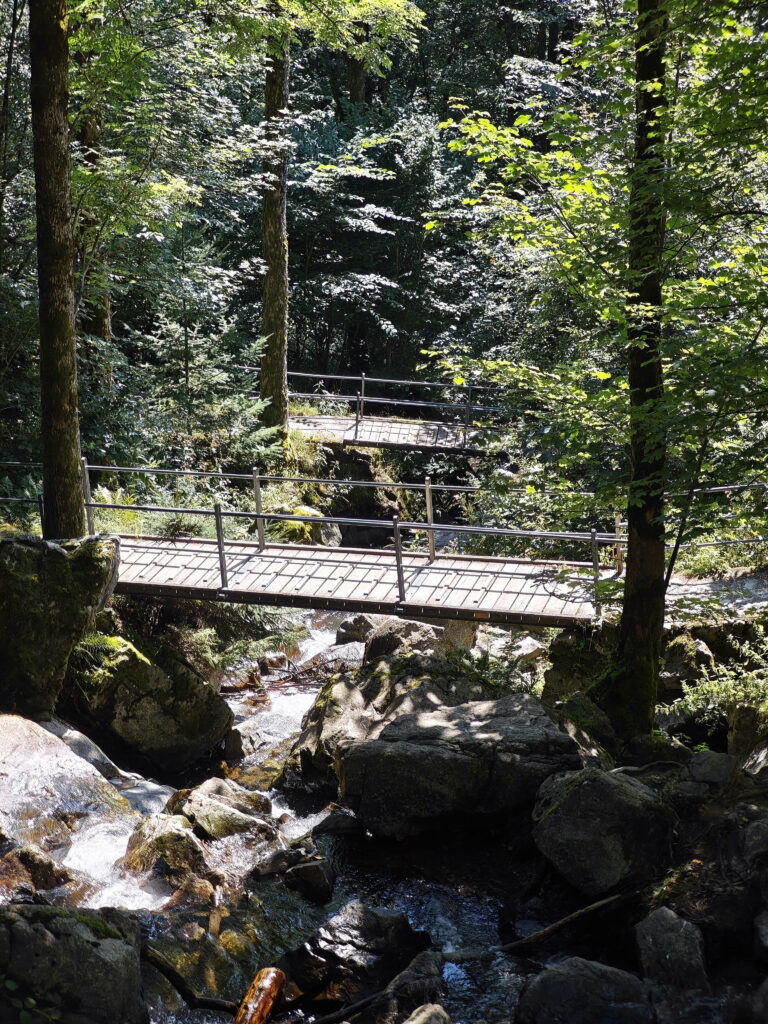 Todtnauer Wasserfälle Schwarzwald