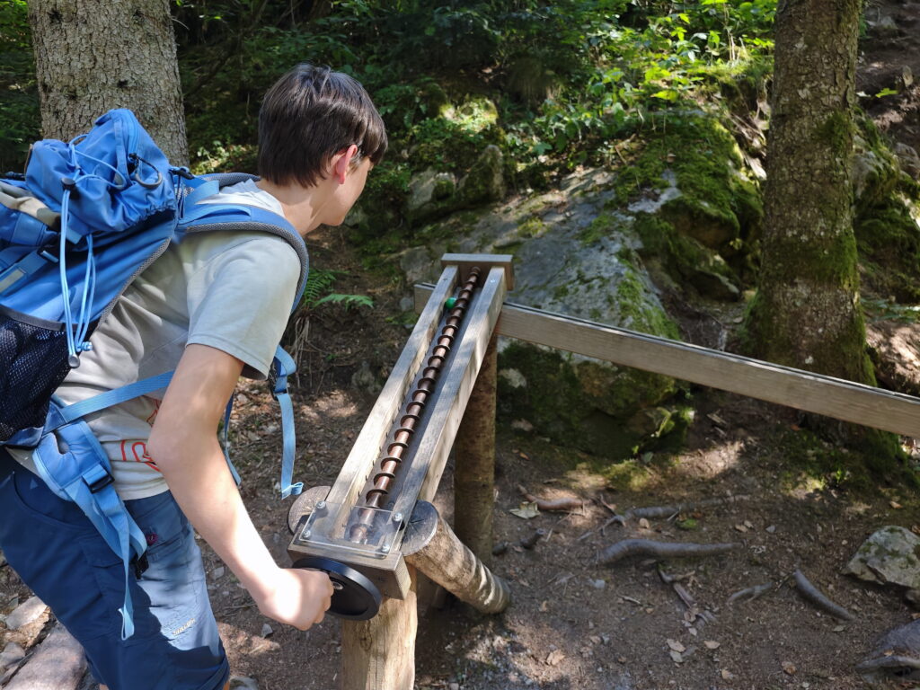 Waldkugelbahn Schwarzwald mit Kindern