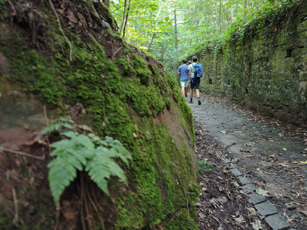 wandern Trier mit Kindern