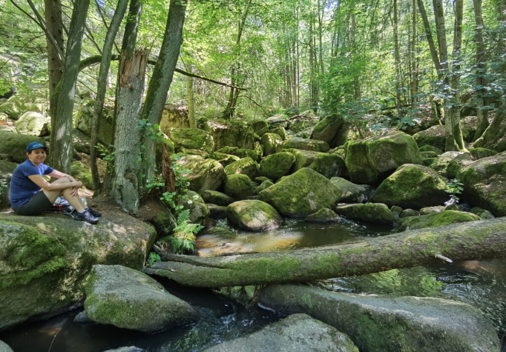 Wasserfälle Deutschland - wildromantisch im Höllbachtal