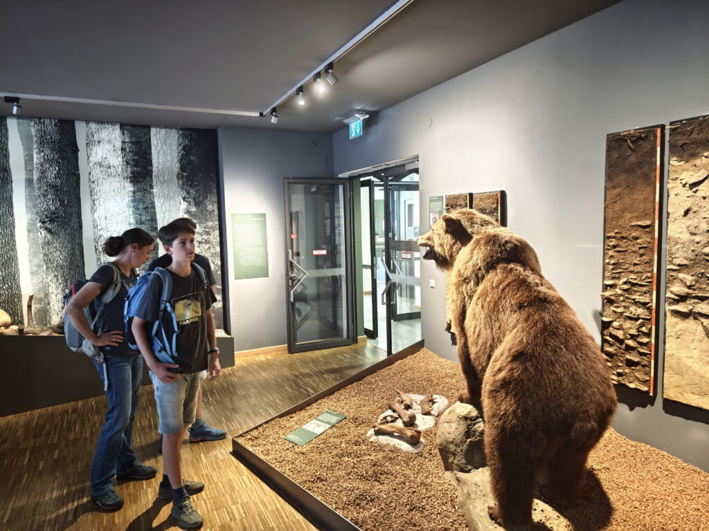 Waldmuseum Zwiesel mit Kindern